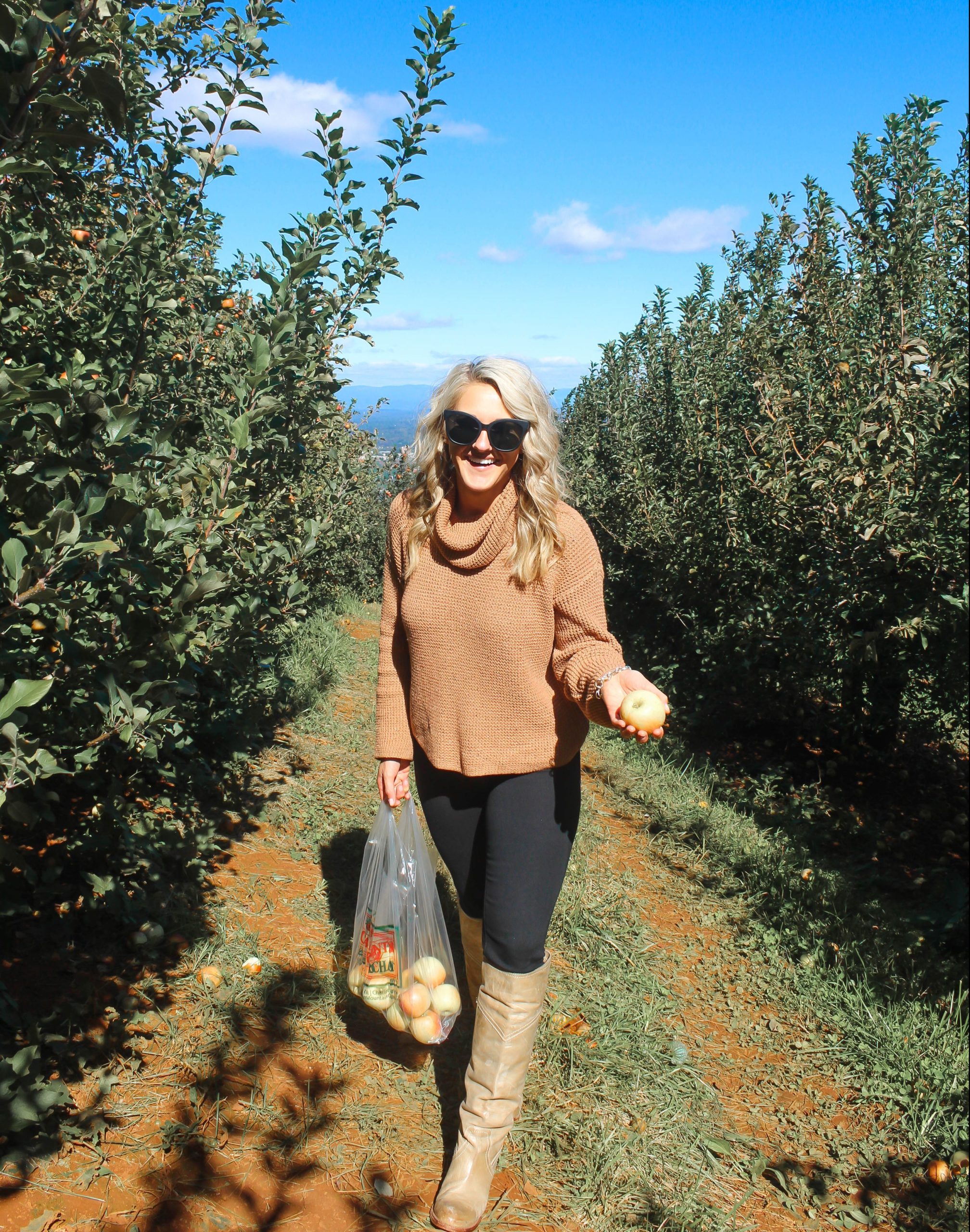 5 Quick Tips for Apple Picking at Carter Mountain Orchard