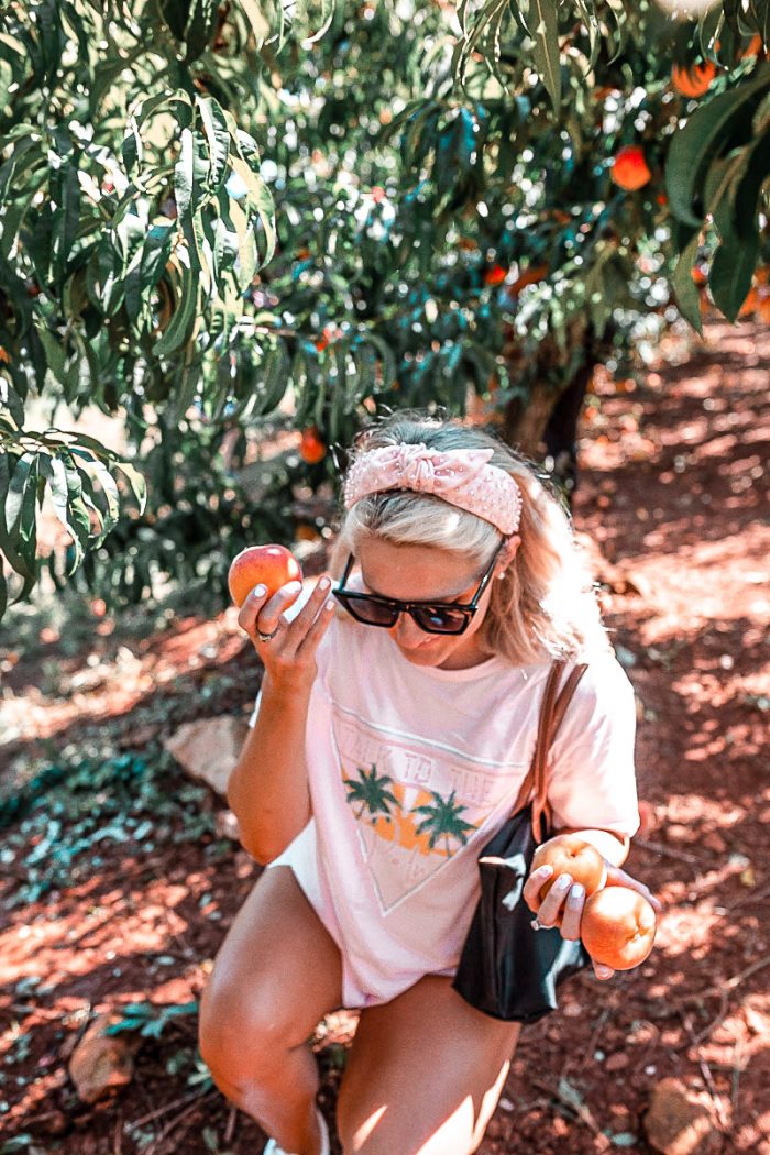 Charlottesville Peach Picking with Show Me Your Mumu!