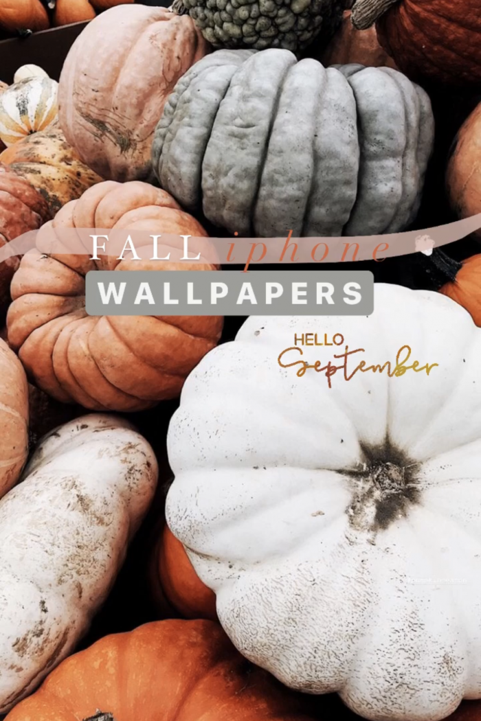 21 Aesthetic Fall Iphone Wallpapers You Need for Spooky Season!