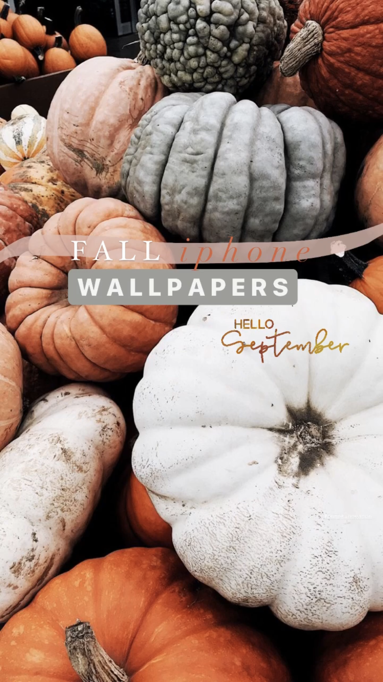21 Aesthetic Fall Iphone Wallpapers You Need for Spooky Season! – Chasing  Chelsea